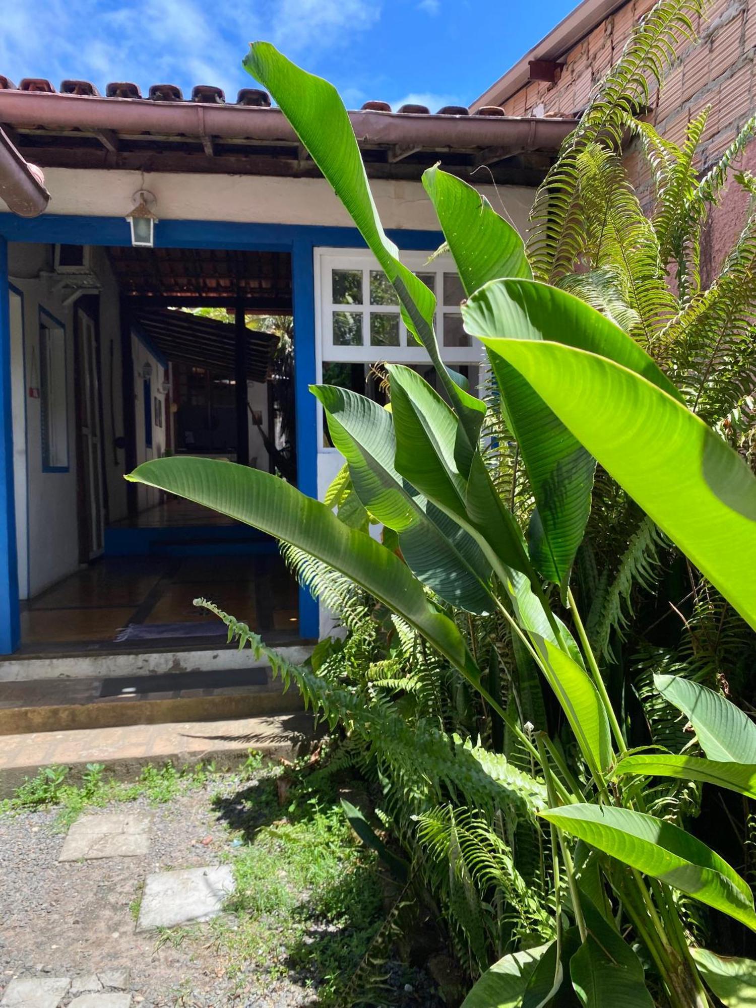 Tropicalia Hostel E Pousada Itacare Bagian luar foto